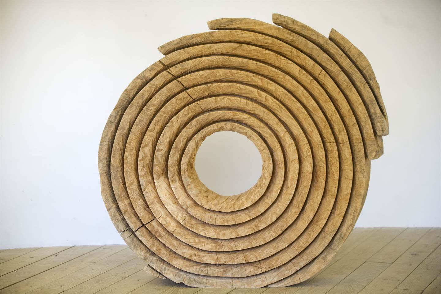 Série Anéis, original La nature Bois Sculpture par Paulo Neves