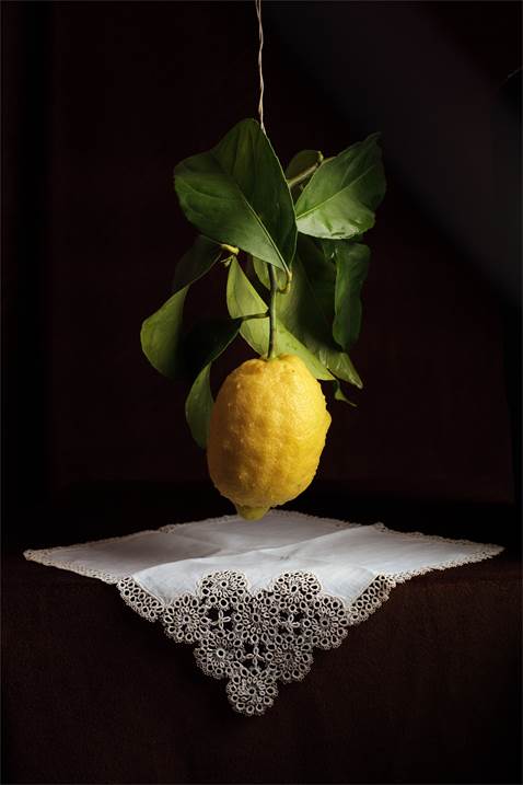 Bodegón del limón suspendido, original Naturaleza muerta Digital Fotografía de Cecilia Gilabert